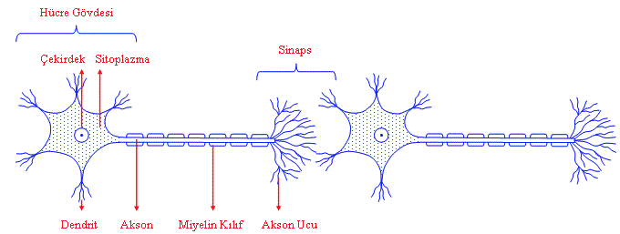 Yapay Sinir Ağları ve Derin Öğrenme